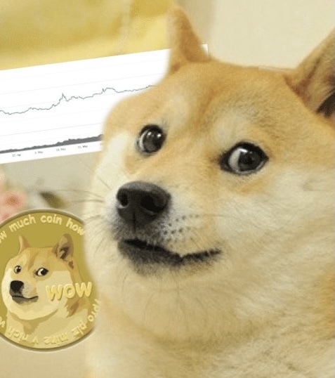 頑張れ かぼすちゃん Dogecoin Miami 改め La Express